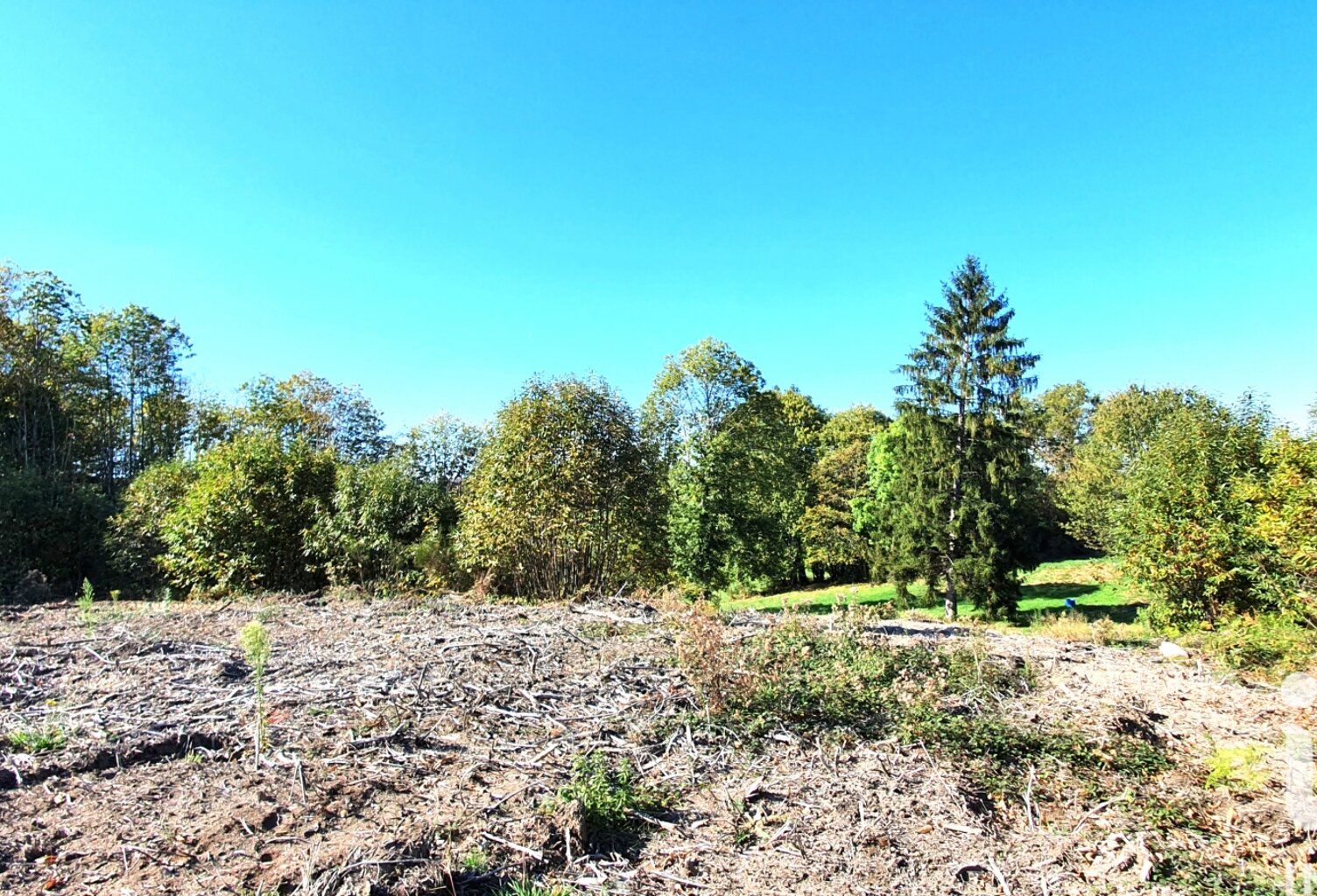 Vente Terrain 2 500 m&sup2; — photo 1