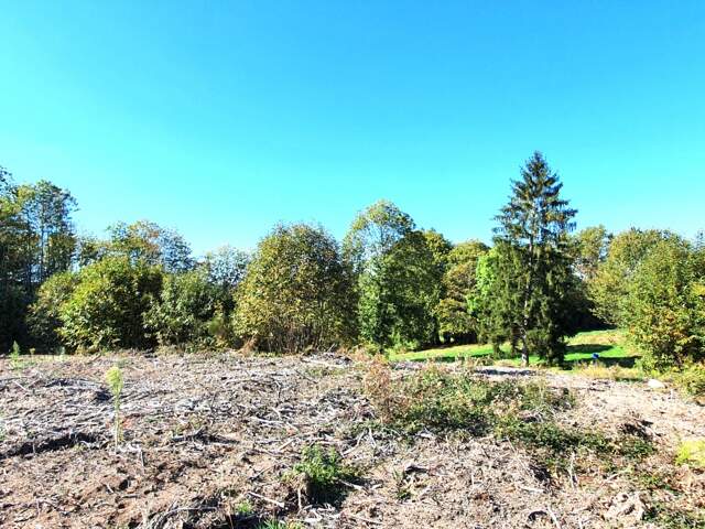 Vente Terrain 2 500 m&sup2; — photo du bien