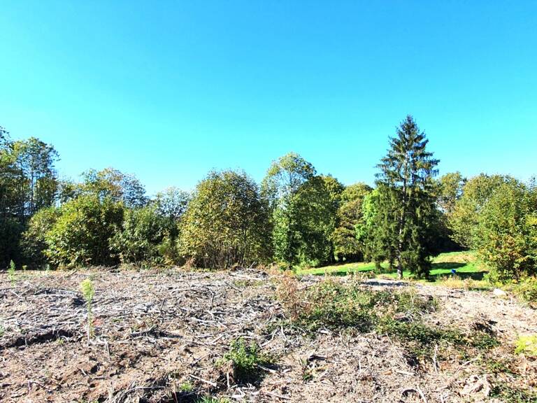 Vente Terrain 2 500 m&sup2; — photo 1