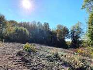 Vente Terrain 2 500 m&sup2; — photo 3