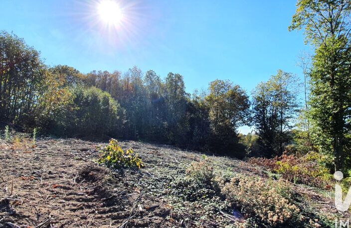 Vente Terrain 2 500 m&sup2; — photo 3