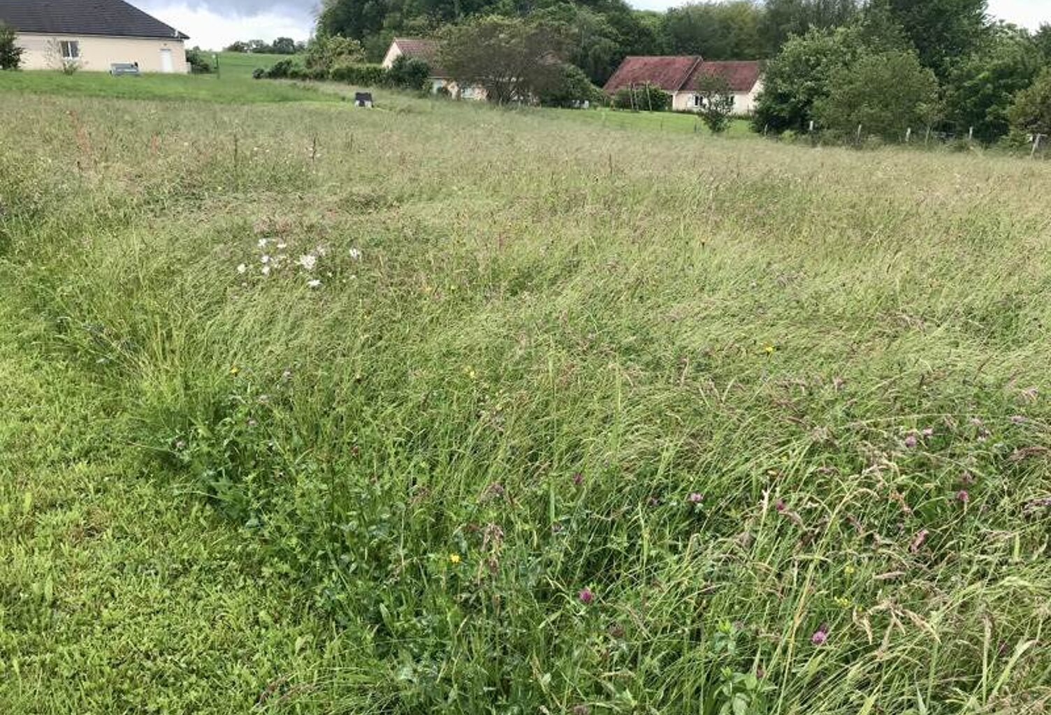 Vente terrain  2250 m² Lubersac (19210) — photo 1