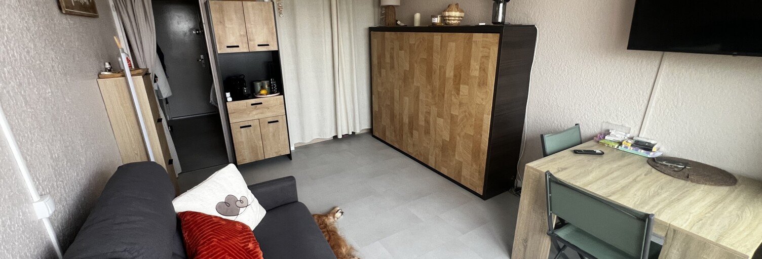 Appartement 1 Pièce 20 m² à vendre à Le Grau-du-Roi (30240)
