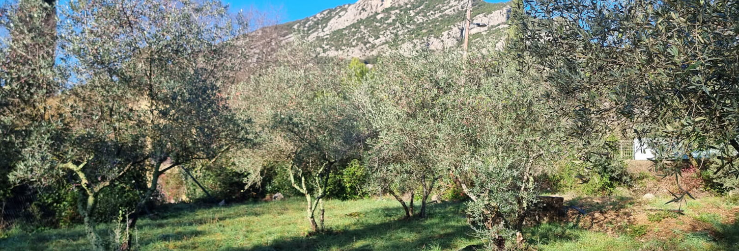 Terrain  550 m² à vendre à Saint-Hippolyte-du-Fort (30170)