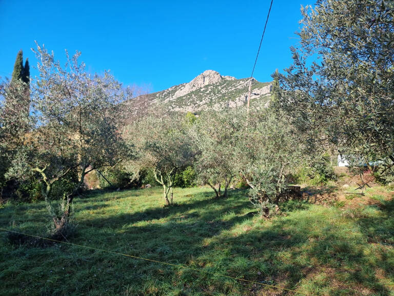 À VENDRE - Terrain constructible de 550m2 - Secteur Saint-Hiippolyte-du-Fort — photo 1