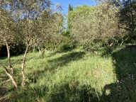 À VENDRE - Terrain constructible de 550m2 - Secteur Saint-Hiippolyte-du-Fort — photo 2