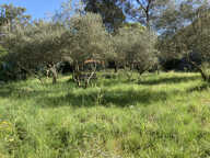 À VENDRE - Terrain constructible de 550m2 - Secteur Saint-Hiippolyte-du-Fort — photo 3