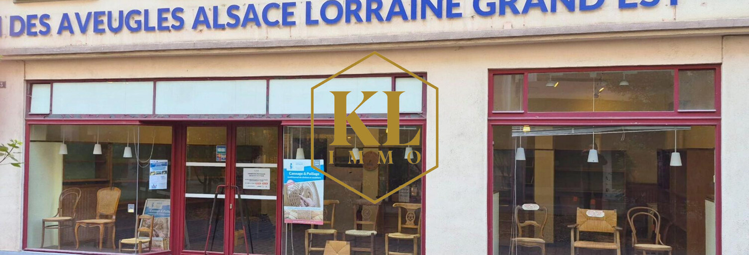 Commerce 8 Pièces 201 m² à vendre à Colmar (68000)