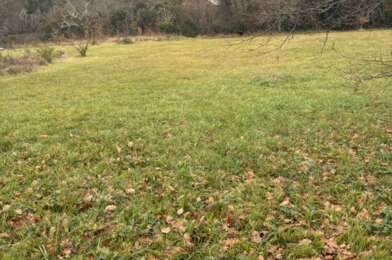 Terrain  48000 €