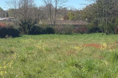 Terrain  82000 €
