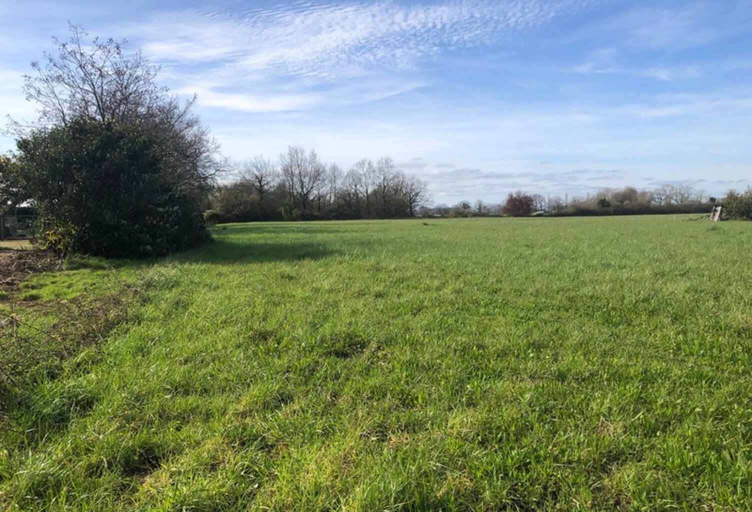 Terrain 10 045,00 m², dont 2564 m² constructibles sur  SAINT PHILBERT DE GRAND LIEU (44) — photo 1