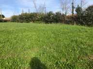Terrain 10 045,00 m², dont 2564 m² constructibles sur  SAINT PHILBERT DE GRAND LIEU (44) — photo 2