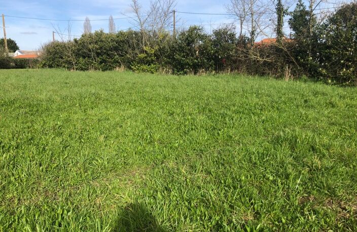 Terrain 10 045,00 m², dont 2564 m² constructibles sur  SAINT PHILBERT DE GRAND LIEU (44) — photo 2