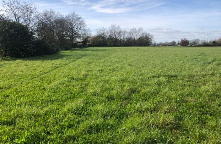 Terrain 10 045,00 m², dont 2564 m² constructibles sur  SAINT PHILBERT DE GRAND LIEU (44) — photo 3