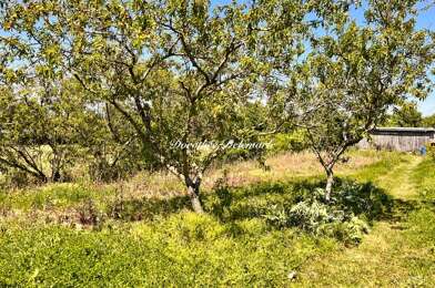 Terrain  97000 €