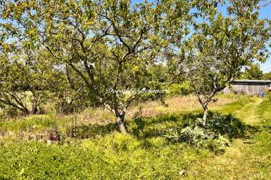 Terrain  97000 €