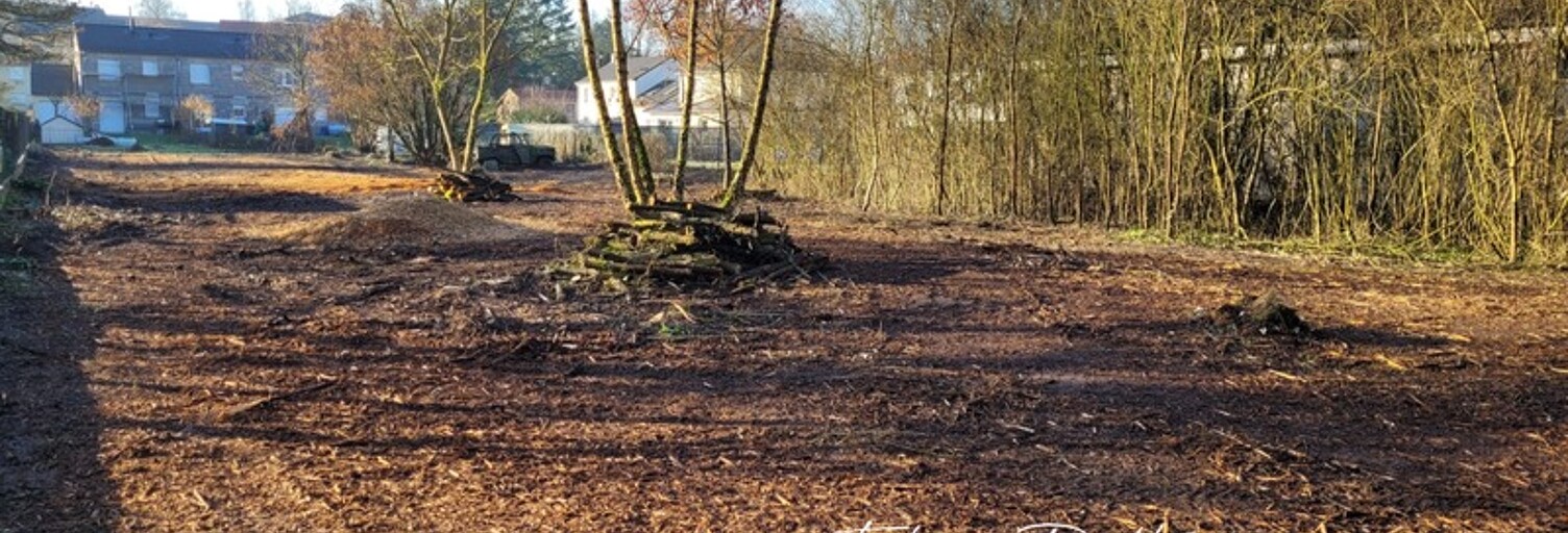 Photo N° 2