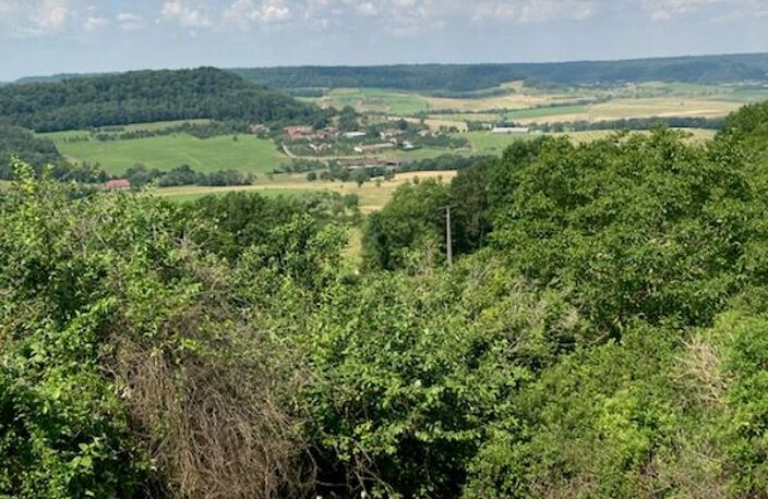 Domaine d’exception sur la Colline de Sion – Ferme de caractère avec vue panoramique — photo 4