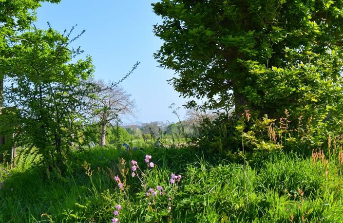 Vente terrain à bâtir viabilisé 790 m², au calme, Saint-Quay-Perros (22700) — photo 3