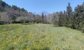 Terrain  1200 m² à vendre à Sarrians (84260)