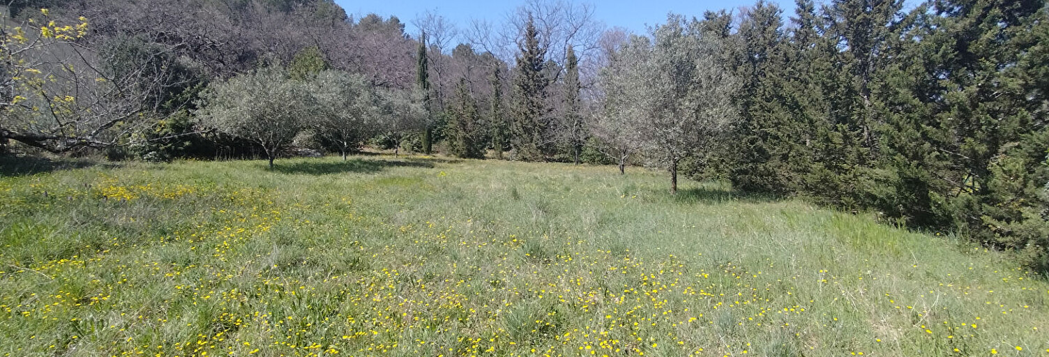 Terrain  1200 m² à vendre à Sarrians (84260)