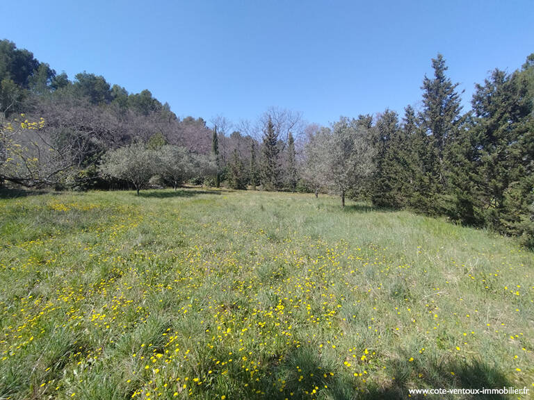 Terrain viabilisé 936 m²  + chemin d'accès privé - Très calme — photo 1