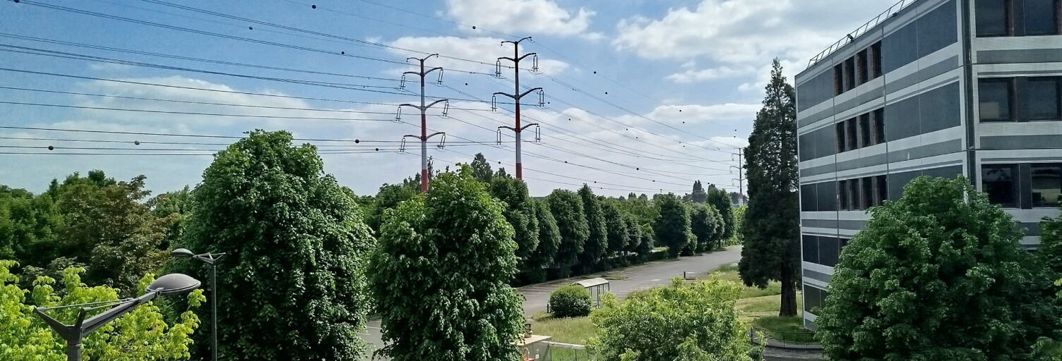 Photo N° 2