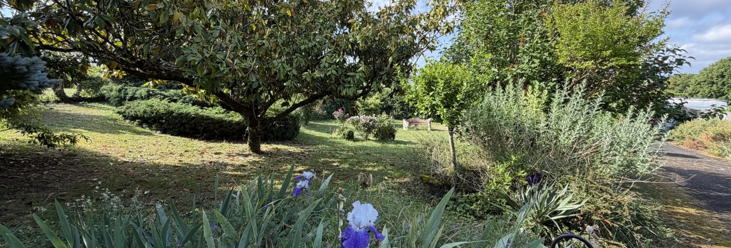 Photo N° 2