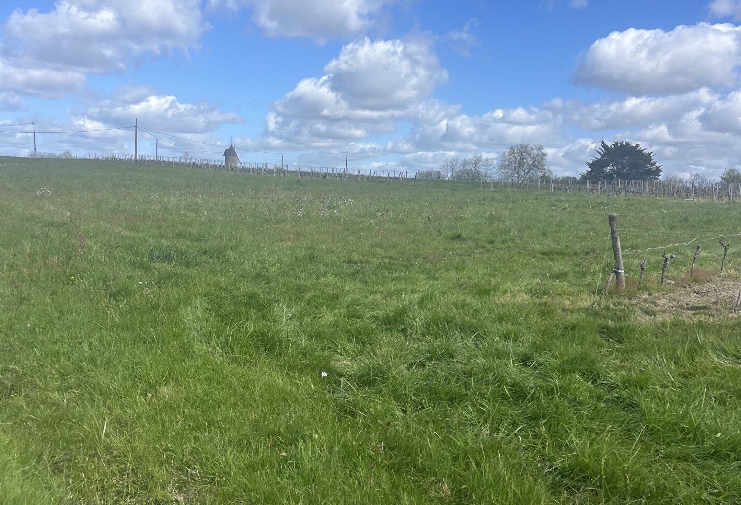Vente Terrain agricole 3 770 m&sup2; — photo 1