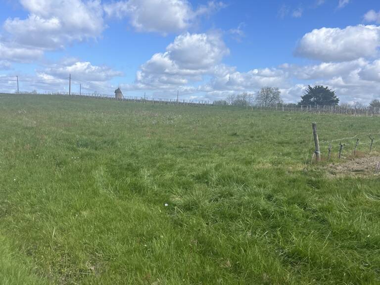Vente Terrain agricole 3 770 m&sup2; — photo 1