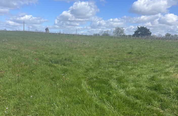 Vente Terrain agricole 3 770 m&sup2; — photo 2
