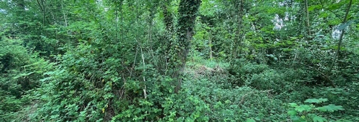 Terrain  2072 m² à vendre à Guérard (77580)