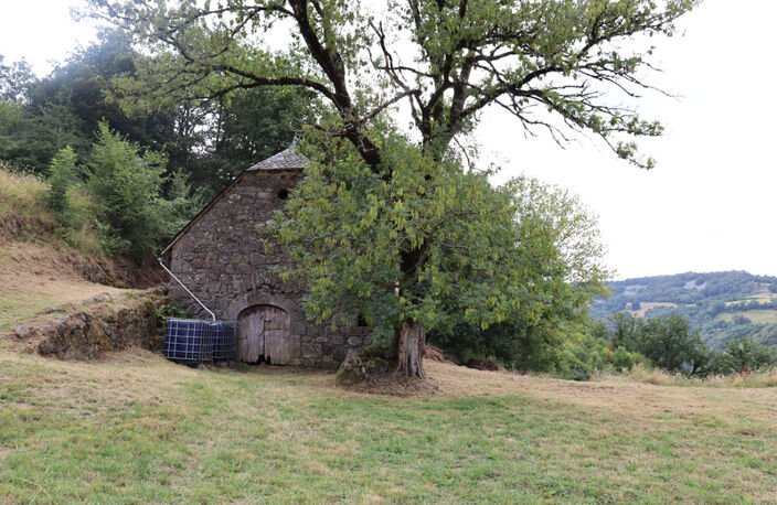 A DECOUVRIR ! — photo 2