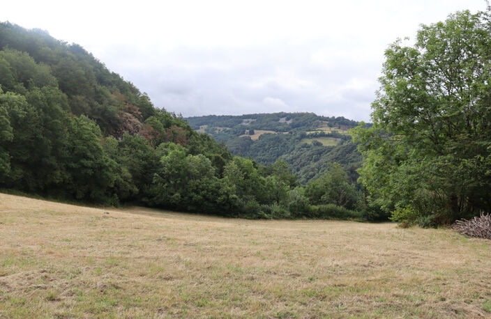 A DECOUVRIR ! — photo 5