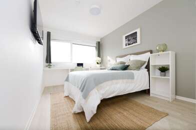 Appartement 1 pièces 915 €