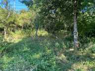 Terrain constructible 1294 m2 — photo 3