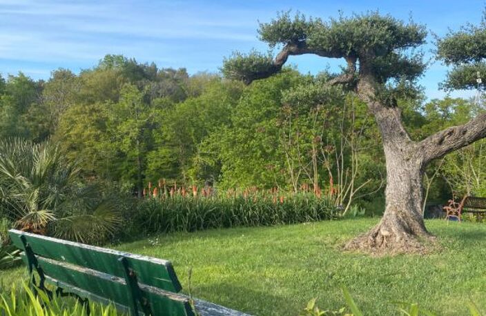 belle opportunité   vente Deux maisons sur 14000M2 de terrain — photo 3