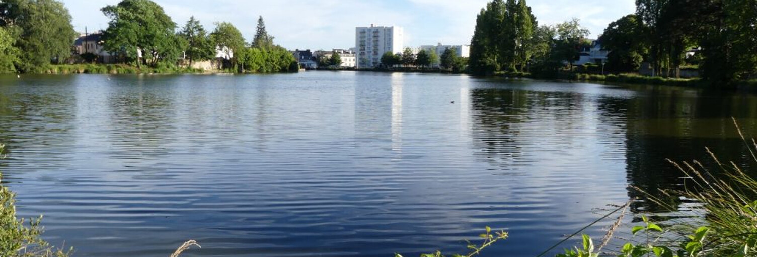 Appartement 3 Pièces 51 m² à vendre à Vannes (56000)