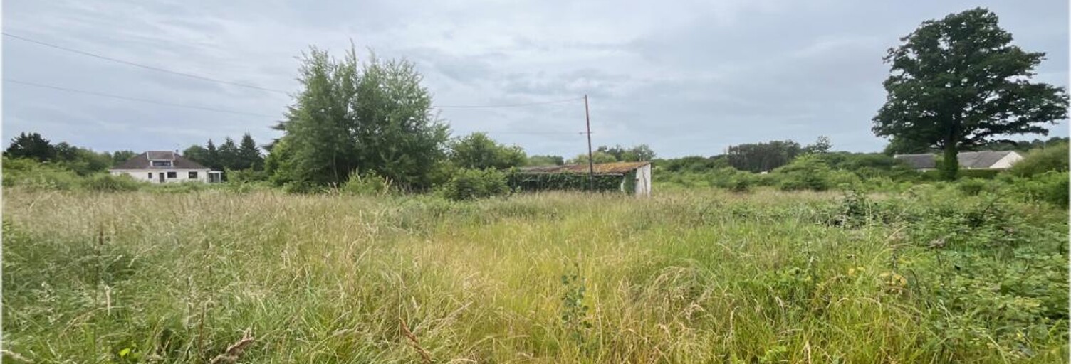 Terrain  15260 m² à vendre à Romorantin-Lanthenay (41200)