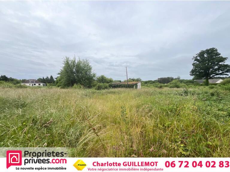 Terrain Romorantin Lanthenay 15260 m2 — photo 1