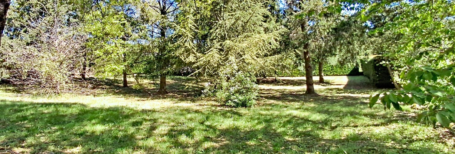 Terrain  1420 m² à vendre à Roisey (42520)