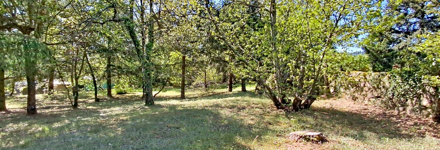 Terrain  1420 m² à vendre à Roisey (42520)