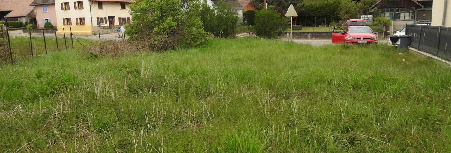 Photo N° 2