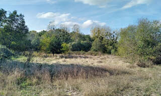 Terrain  3100 m² à vendre à Gièvres (41130)