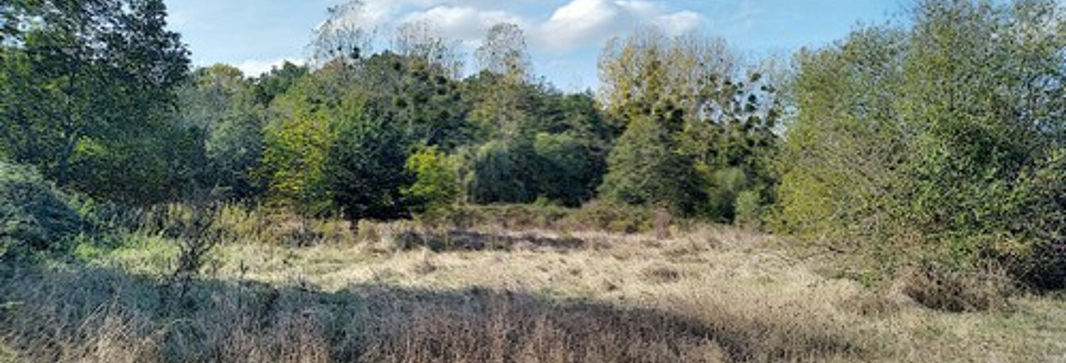 Terrain  3100 m² à vendre à Gièvres (41130)