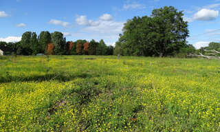 Terrain  1484 m² à vendre à Mennetou-sur-Cher (41320)
