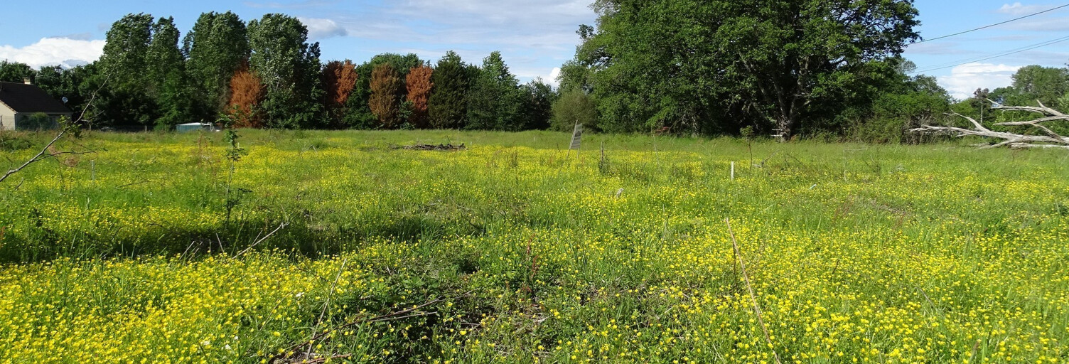 Terrain  1484 m² à vendre à Mennetou-sur-Cher (41320)
