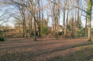 Terrain  49500 €