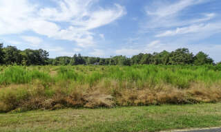 Terrain  1400 m² à vendre à Saint-Julien-sur-Cher (41320)
