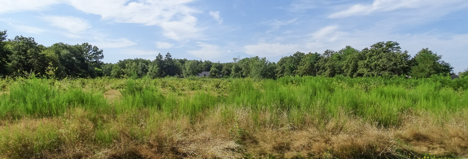 Terrain  1400 m² à vendre à Saint-Julien-sur-Cher (41320)